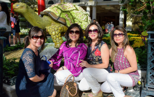 Mini Reunion@Vegas 